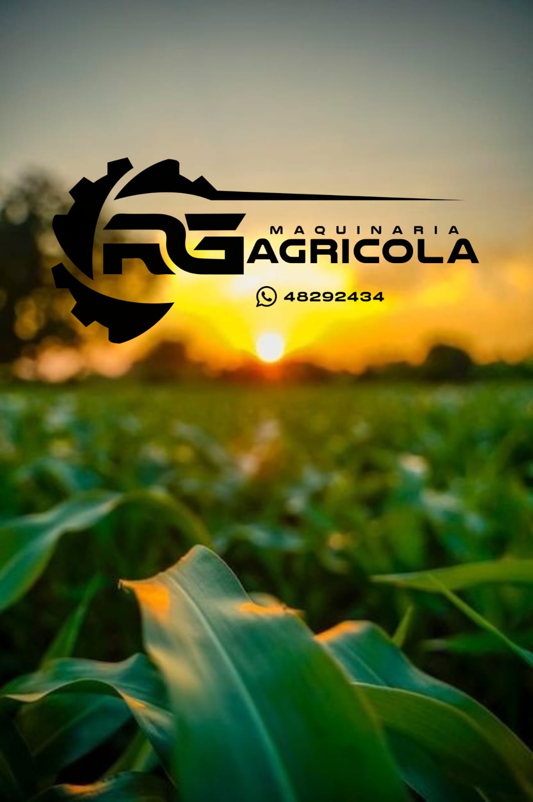 Atardecer en el campo